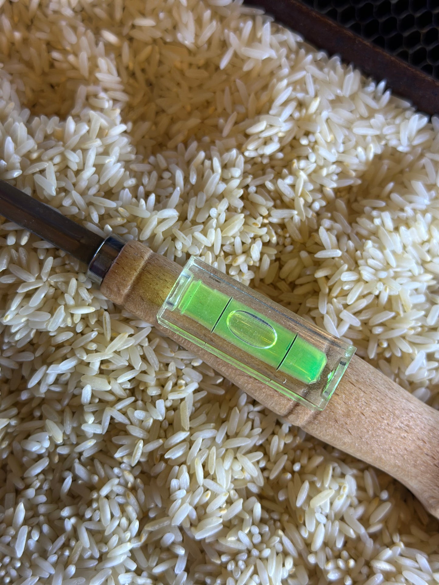 Sourdough Knife Scorer (pack of 5)
