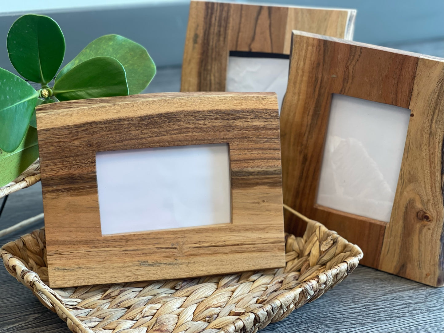 Acacia Live Edge Frames